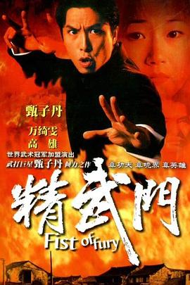 精武门1995国语 第28集