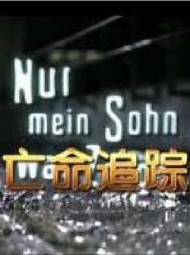 亡命追踪 HD中字(大结局)