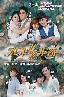 花非花雾非雾 第27集