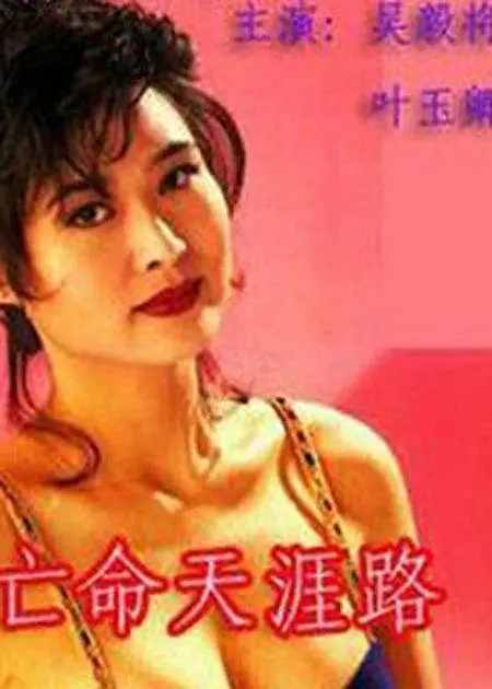 亡命天涯路国语 第08集